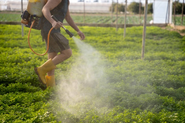 Best Affordable Pest Control Services  in South Haven, IN